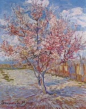  "a dug-over patch of ground in an orchard, a wicker fence and two peach trees in full bloom, pink against a sparkling blue sky with white clouds and in sunshine" [Van Gogh letter 590 VGM] to the bottom left there is an inscription 'souvenir de Mauve'